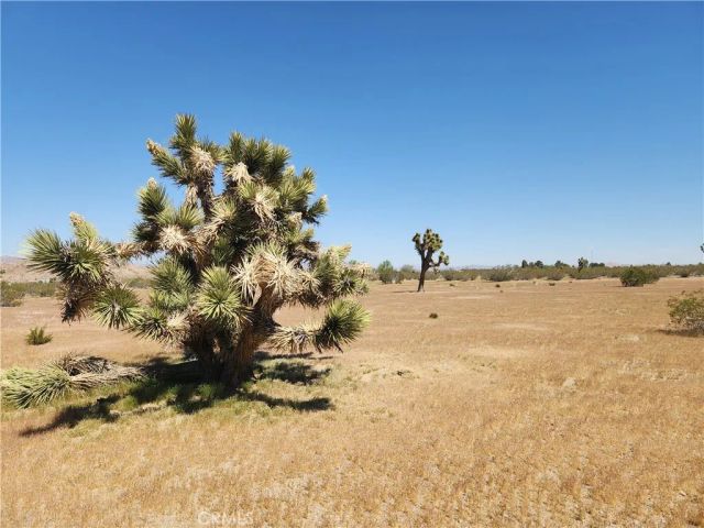 30600 Morningside, Lucerne Valley, CA 92356