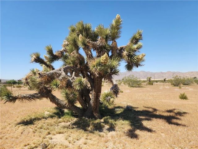 30600 Morningside, Lucerne Valley, CA 92356