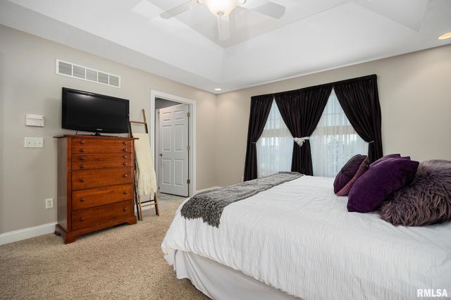 3809 W Wood Trail Court, Dunlap, IL 61525