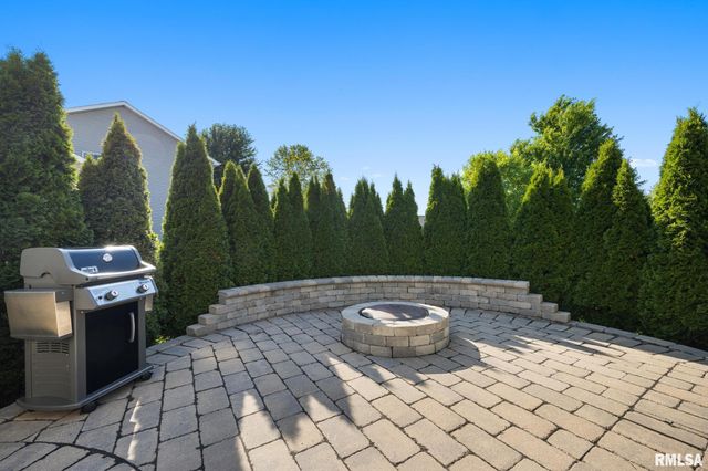 3809 W Wood Trail Court, Dunlap, IL 61525