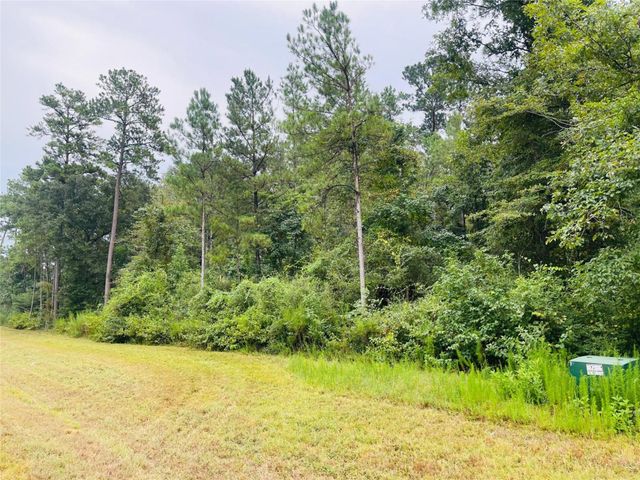 15591 Wood Grove Way, Willis, TX 77378