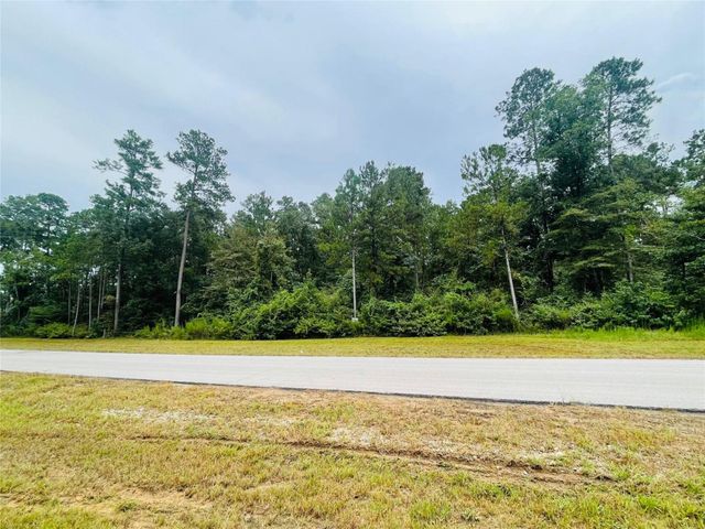 15591 Wood Grove Way, Willis, TX 77378