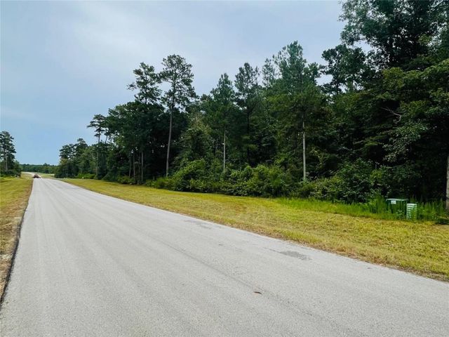 15591 Wood Grove Way, Willis, TX 77378
