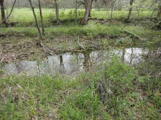 27184 S 620 Road, Grove, OK 74344