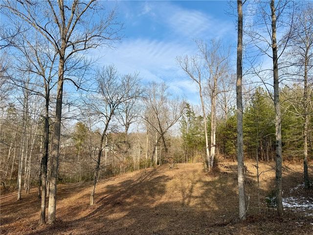 Lot 48 Stardust Lane, Seneca, SC 29672