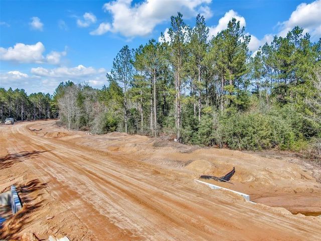 15388 Forest Grove Drive, Willis, TX 77378