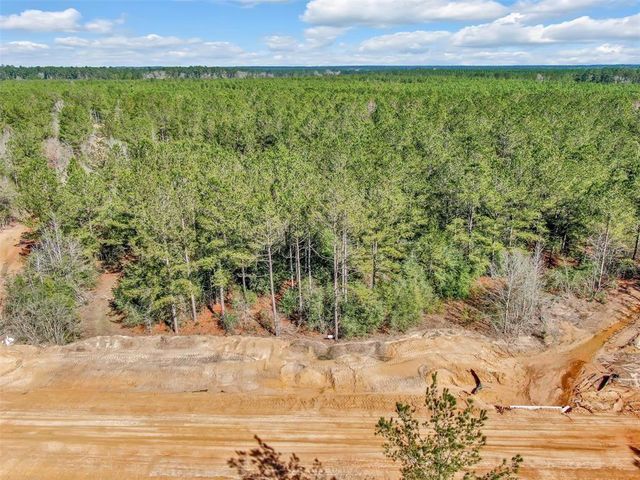 15388 Forest Grove Drive, Willis, TX 77378