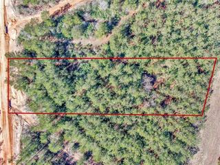 15388 Forest Grove Drive, Willis, TX 77378
