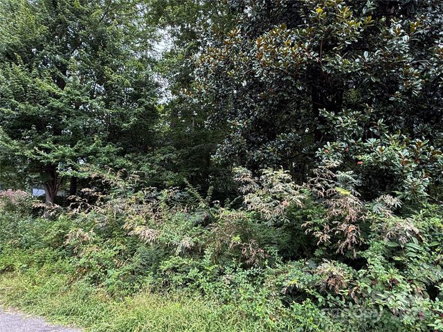 113, 119 Byrd Street, Morganton, NC 28655