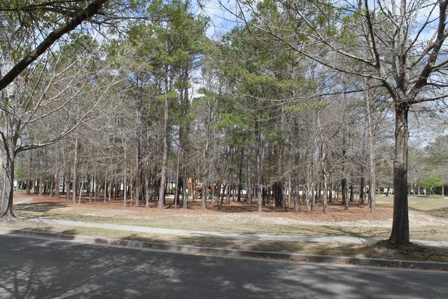 228 Comiskey Park Circle, Summerville, SC 29485