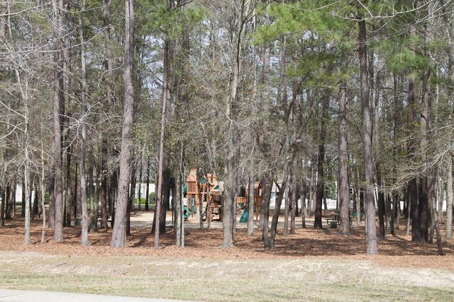 228 Comiskey Park Circle, Summerville, SC 29485