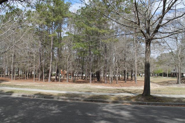 228 Comiskey Park Circle, Summerville, SC 29485