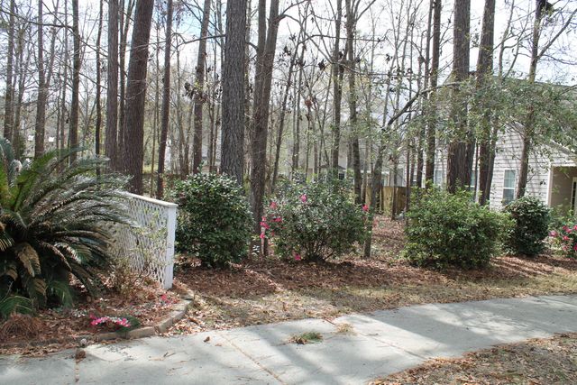 228 Comiskey Park Circle, Summerville, SC 29485