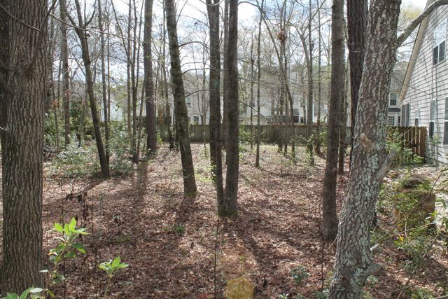 228 Comiskey Park Circle, Summerville, SC 29485