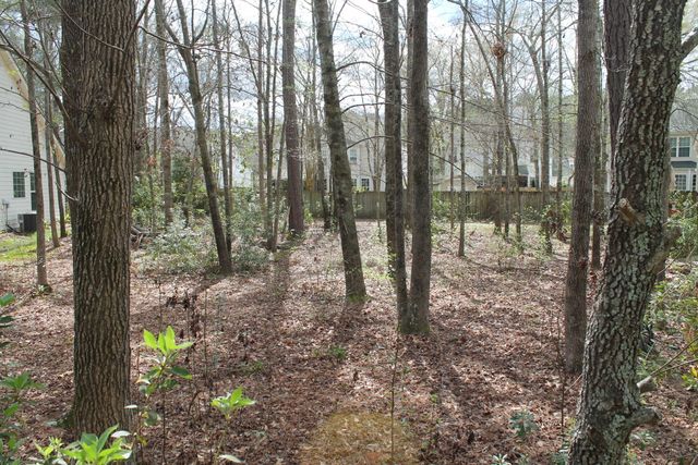 228 Comiskey Park Circle, Summerville, SC 29485