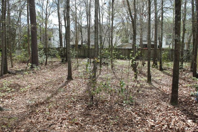 228 Comiskey Park Circle, Summerville, SC 29485