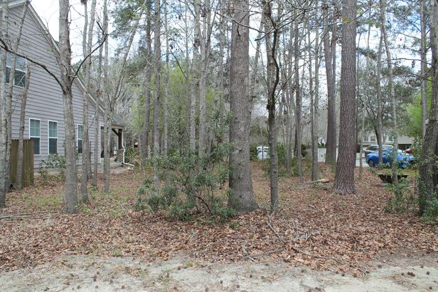 228 Comiskey Park Circle, Summerville, SC 29485