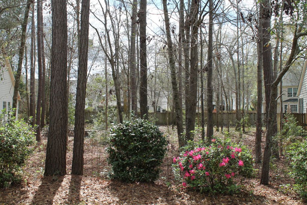 228 Comiskey Park Circle, Summerville, SC 29485