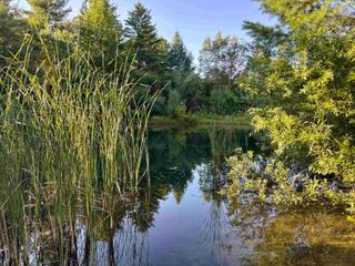915 Maple Hill Road, Barton, VT 05822