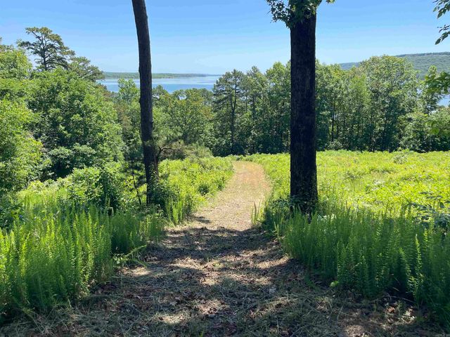 389 Tortoise Bay Rd., Higden, AR 72067