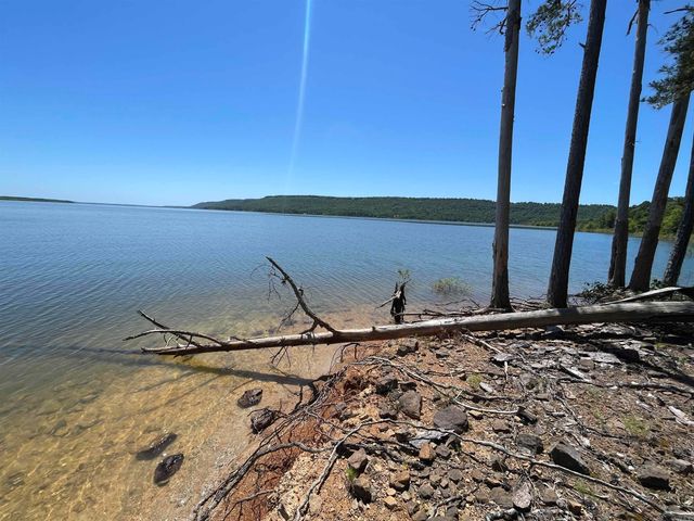 389 Tortoise Bay Rd., Higden, AR 72067