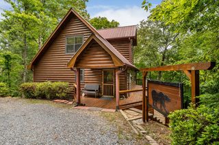 294 Oakwood Trail, Mineral Bluff, GA 30559
