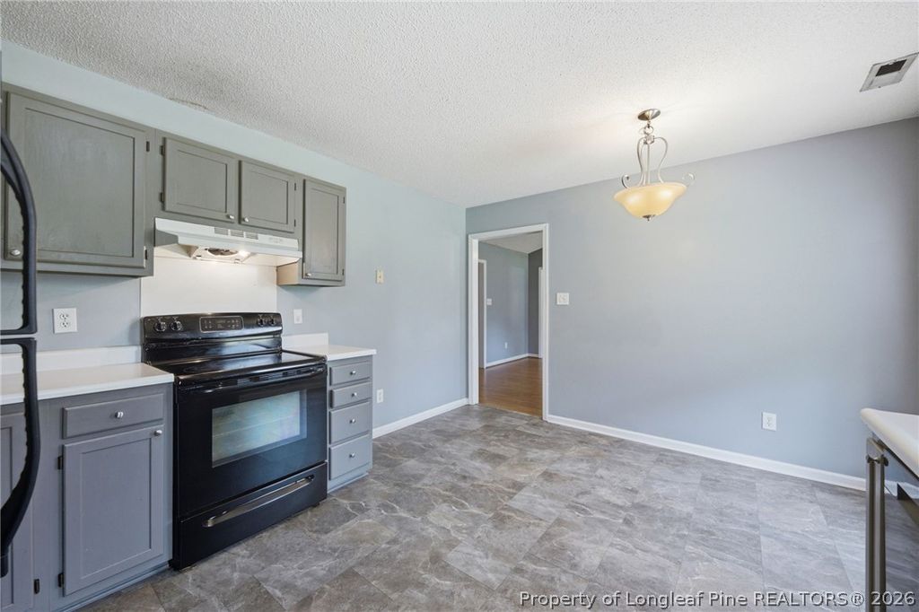 111 Hobson Court, Raeford, NC 28376 — photo 12