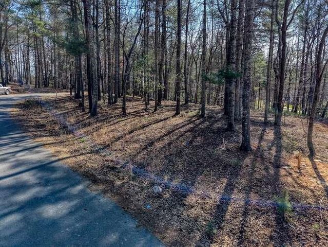 Lot 11 Fox Lake, Blairsville, GA 30512