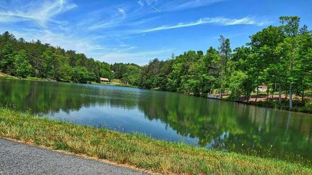 Lot 11 Fox Lake, Blairsville, GA 30512