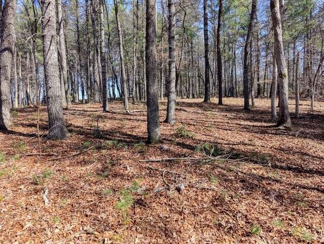 Lot 11 Fox Lake, Blairsville, GA 30512