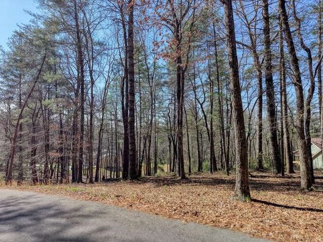 Lot 11 Fox Lake, Blairsville, GA 30512