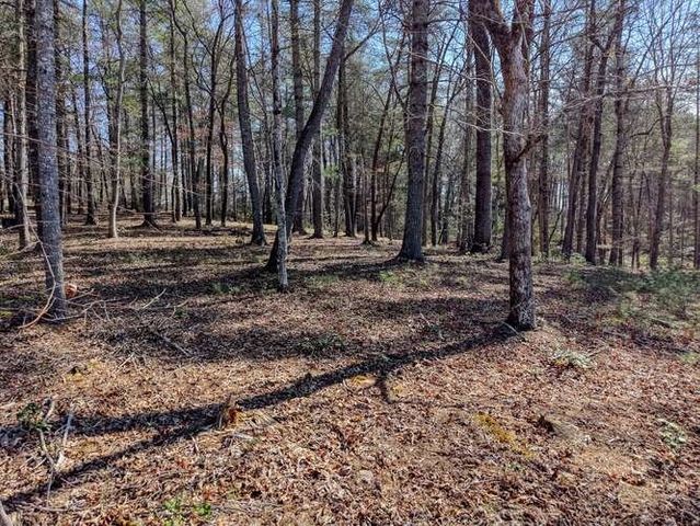 Lot 11 Fox Lake, Blairsville, GA 30512