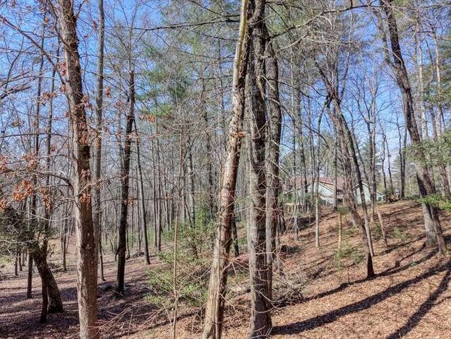 Lot 11 Fox Lake, Blairsville, GA 30512
