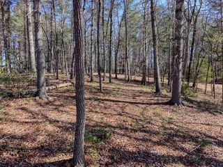 Lot 11 Fox Lake, Blairsville, GA 30512