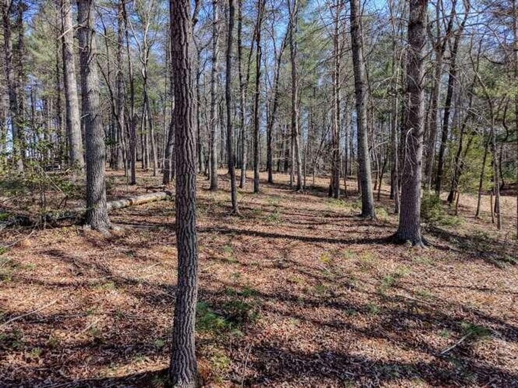 Lot 11 Fox Lake, Blairsville, GA 30512