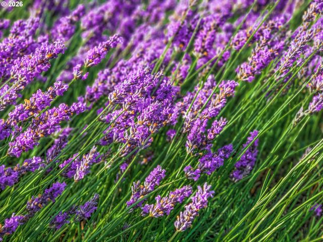 3500 Se CONCORD Rd 55, Milwaukie, OR 97267