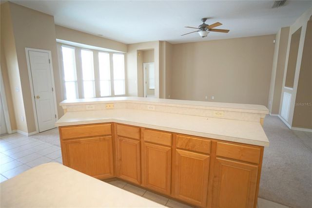 12402 WINDMILL COVE DRIVE, Riverview, FL 33569