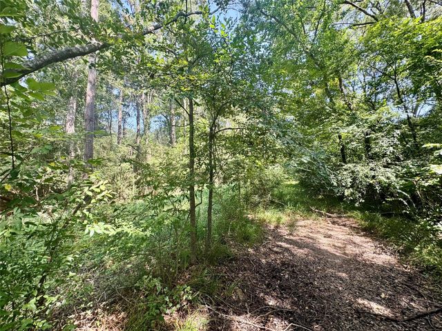 Lot 71 Dove Creek Lane, Coldspring, TX 77331