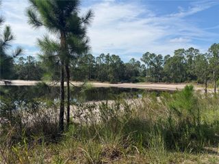TBD MALAUKA PASS TRAIL, Ocklawaha, FL 32179