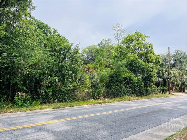 0 Skidaway Road, Savannah, GA 31404