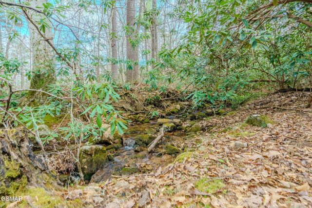 3386 Rocky Ridge Road, Cosby, TN 37722