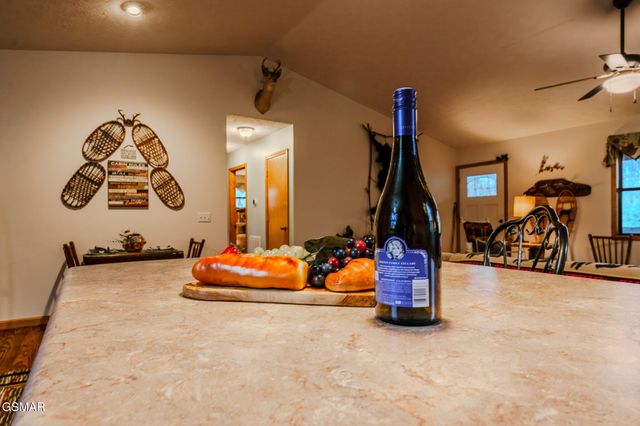 3386 Rocky Ridge Road, Cosby, TN 37722
