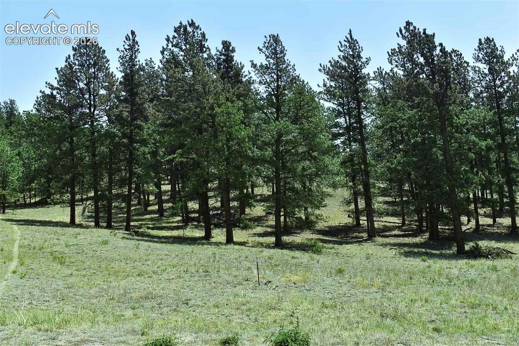 6th Street, Guffey, CO 80820 — photo 2