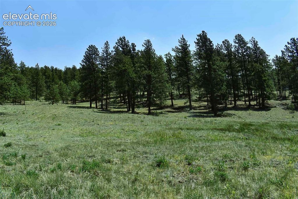 6th Street, Guffey, CO 80820 — photo 3