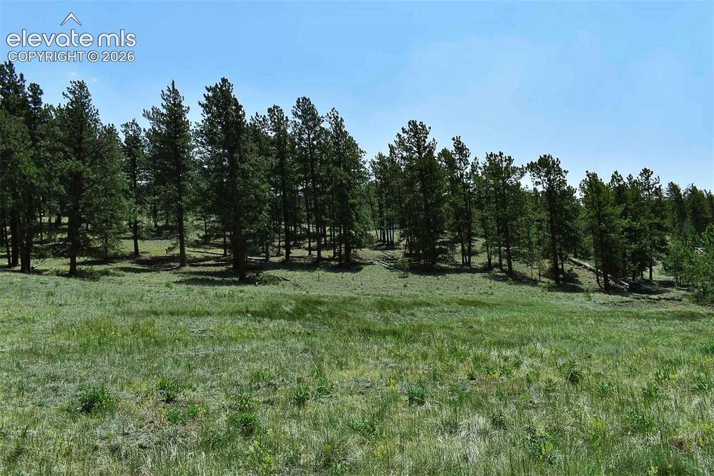 6th Street, Guffey, CO 80820 — photo 4