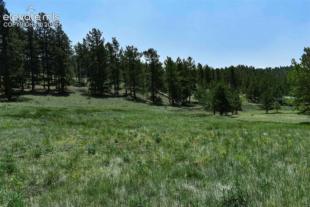 6th Street, Guffey, CO 80820 — photo 5