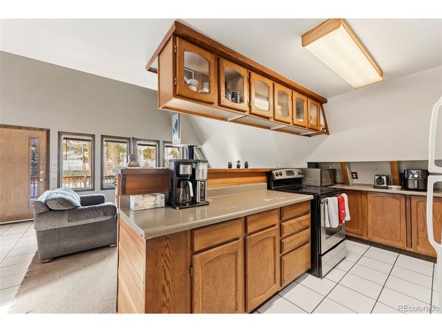 656 Tanglewood Ln, Silverthorne, CO 80498