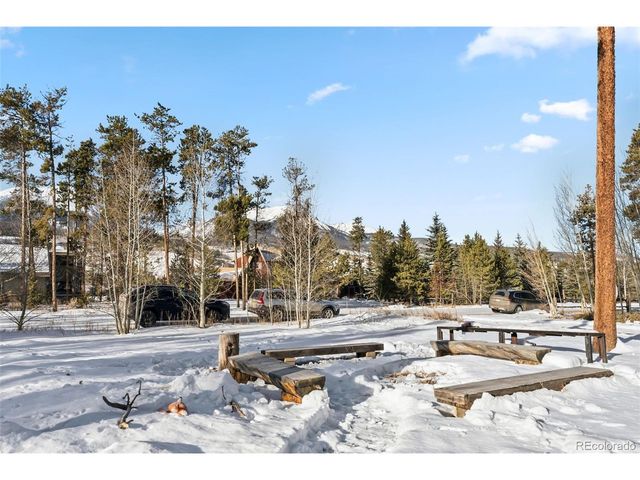 656 Tanglewood Ln, Silverthorne, CO 80498