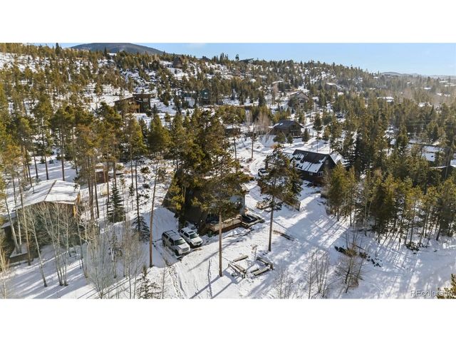 656 Tanglewood Ln, Silverthorne, CO 80498