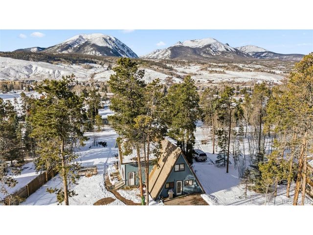 656 Tanglewood Ln, Silverthorne, CO 80498
